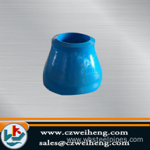 Dn10-200 Butt Weld Concentric Pipe